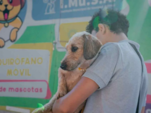 La castración de mascotas, el servicio más solicitado en los operativos del IMuSA