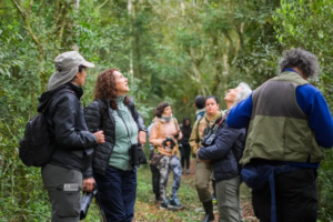 VOLAR 2026: ENTRE ENCUENTROS Y AVES: DESDE CHILE, NORMA VERGARA ARANCIBIA TRAE A MISIONES UNA INICIATIVA QUE CONSTRUYE COMUNIDAD Y ABRE NUEVOS CAMINOS PARA LAS MUJERES EN LA NATURALEZA
